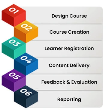How Does an LMS Software Function